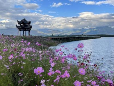 產(chǎn)業(yè) | 首屆鹽源青銅文化與各民族交往交流交融學術研討會召開