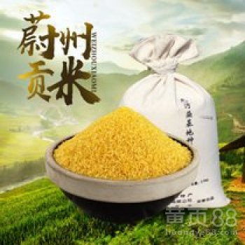 【蔚縣大白谷之鄉(xiāng)貢米特產(chǎn)】-