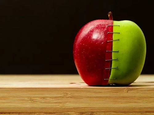 和轉基因食品說 no ,來 華鮮谷 品味健康食尚之旅