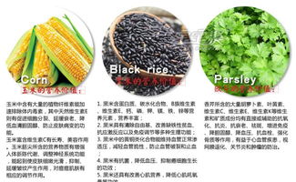 馬玉山 臺灣進口 蔬菜多谷麥胚芽 營養雜糧早餐沖調飲品 420g 袋裝