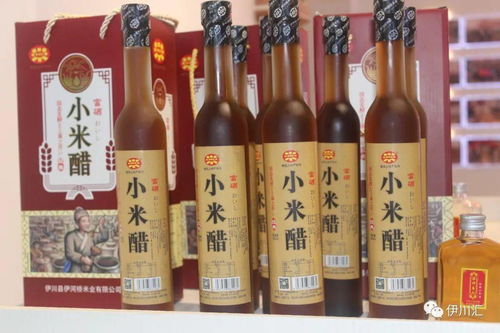 全國谷子產業創新發展大會在伊川隆重舉辦