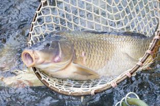 遼東最美的地方,有山有水又有情,你去過嗎,