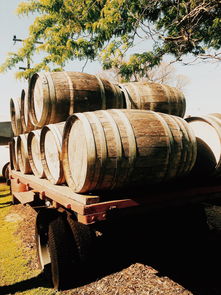 天鵝谷 葡萄酒莊和巧克力工廠的完美結(jié)合攻略,天鵝谷 葡萄酒莊和巧克力工廠的完美結(jié)合簡介圖片,門票價(jià)格,開放時(shí)間 無二之旅