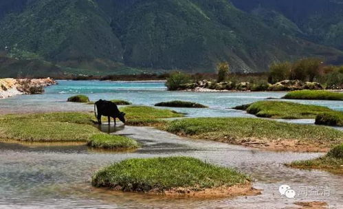 一個(gè)人走川藏線