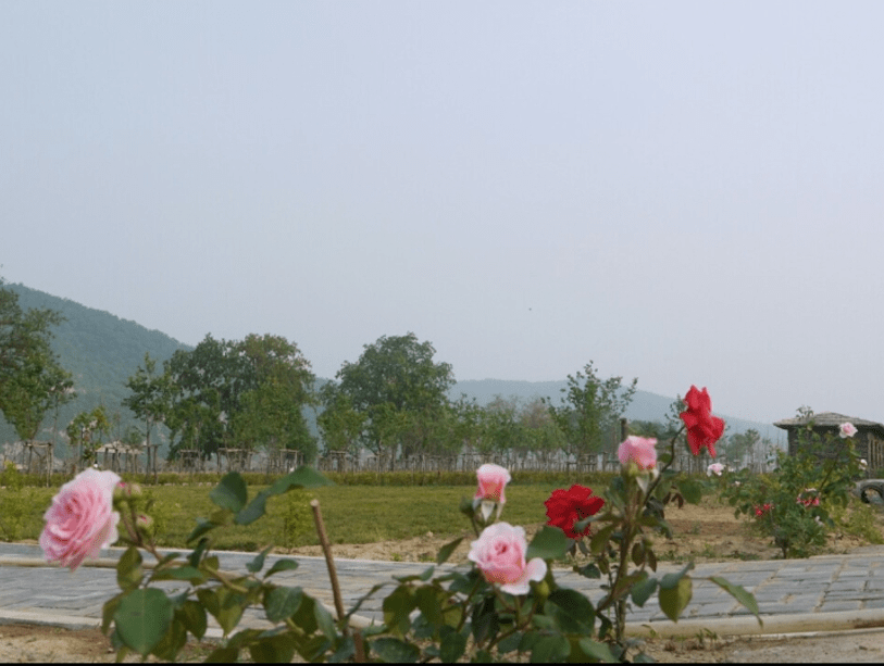 探尋遼寧東港市--旅游攻略景點(diǎn)必去的地方