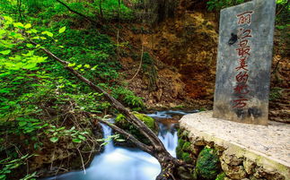 云南金沙谷3日游攻略 旅行達(dá)人的私藏秘境