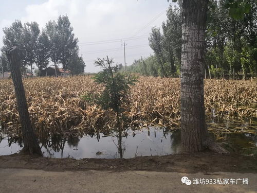 FM93.3匯集社會(huì)愛心走進(jìn)災(zāi)區(qū) 壽光營口鎮(zhèn)陳家營村金沙谷的溫暖行動(dòng)