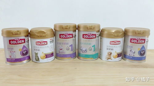 國貨之光 金沙谷登，引領寵物食品行業新標桿